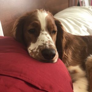 Meet your Posher, Fiona